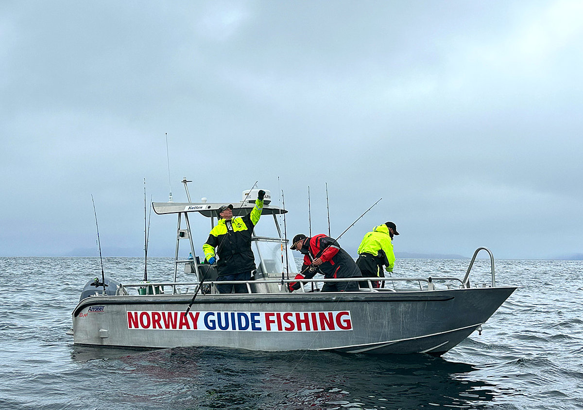 Meeresangeln in Havoysund in Nordnorwegen, jetzt Angelurlaub buhen!