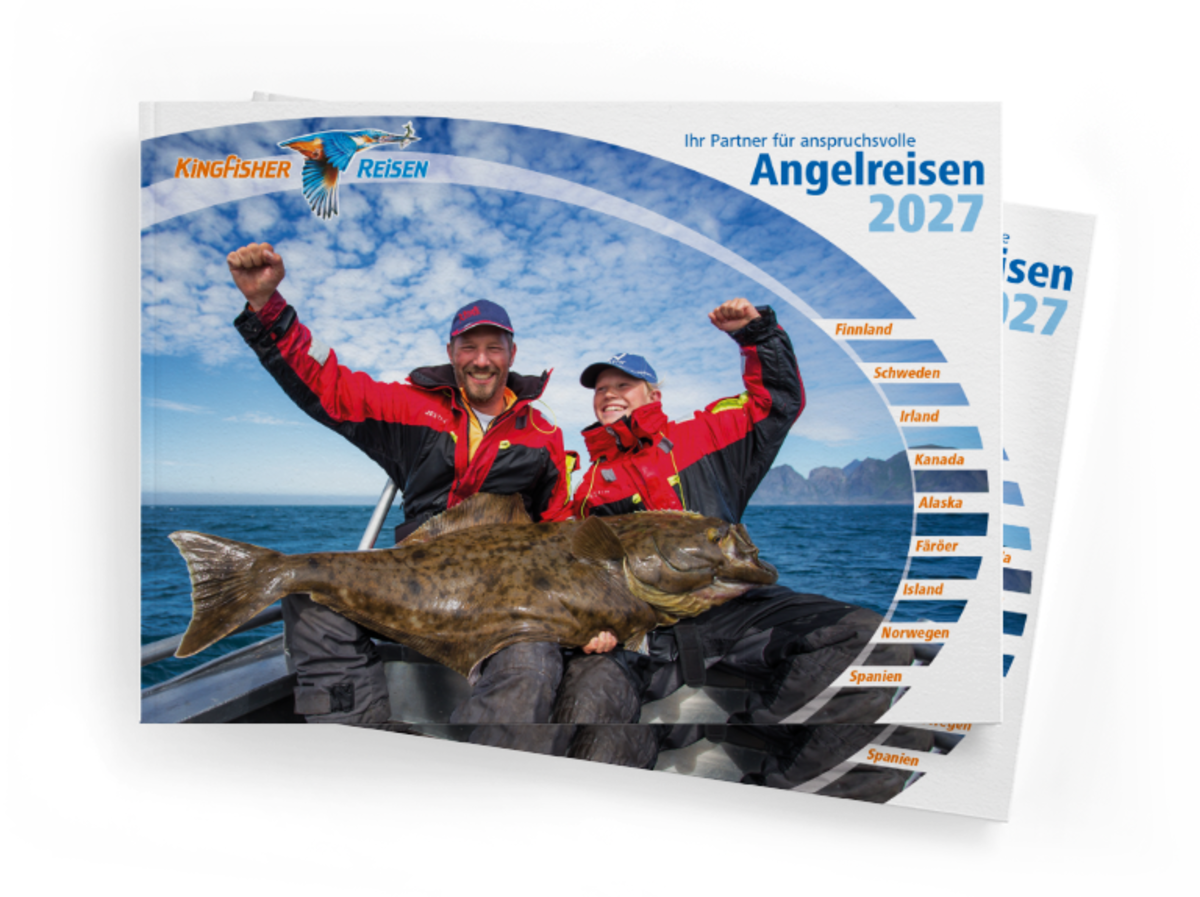 Bild des Kingfisher Kataloges