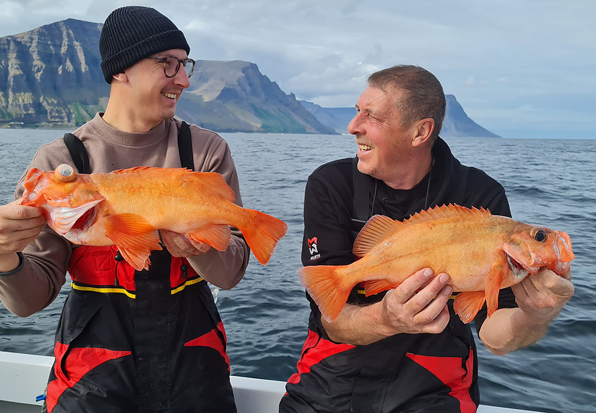 Angler mit 2 Rotbarschen, die auf Island häufig vorkommen.