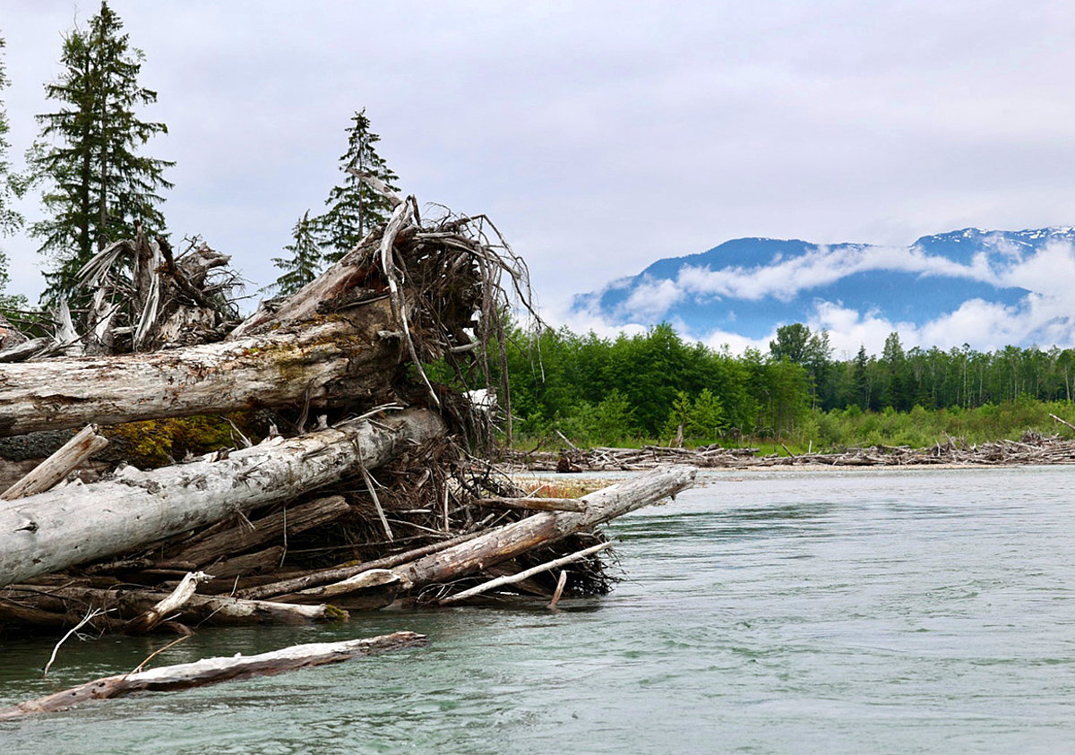Skeena und Kitimat River in kanada, jetzt Angelurlaub buchen.