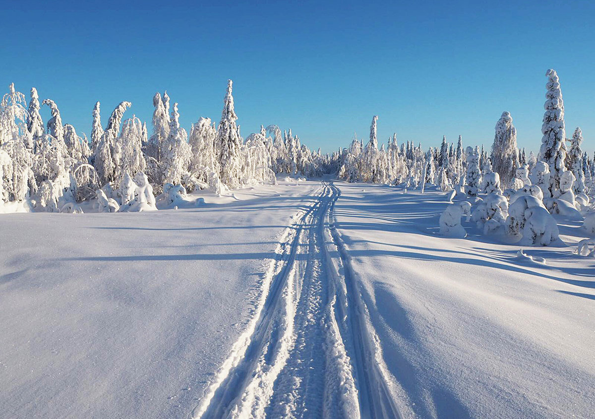 Winterreisen mit Schneemobil, Husky und Nordlicht nach Finnland - jetzt Winterurlaub buchen!
