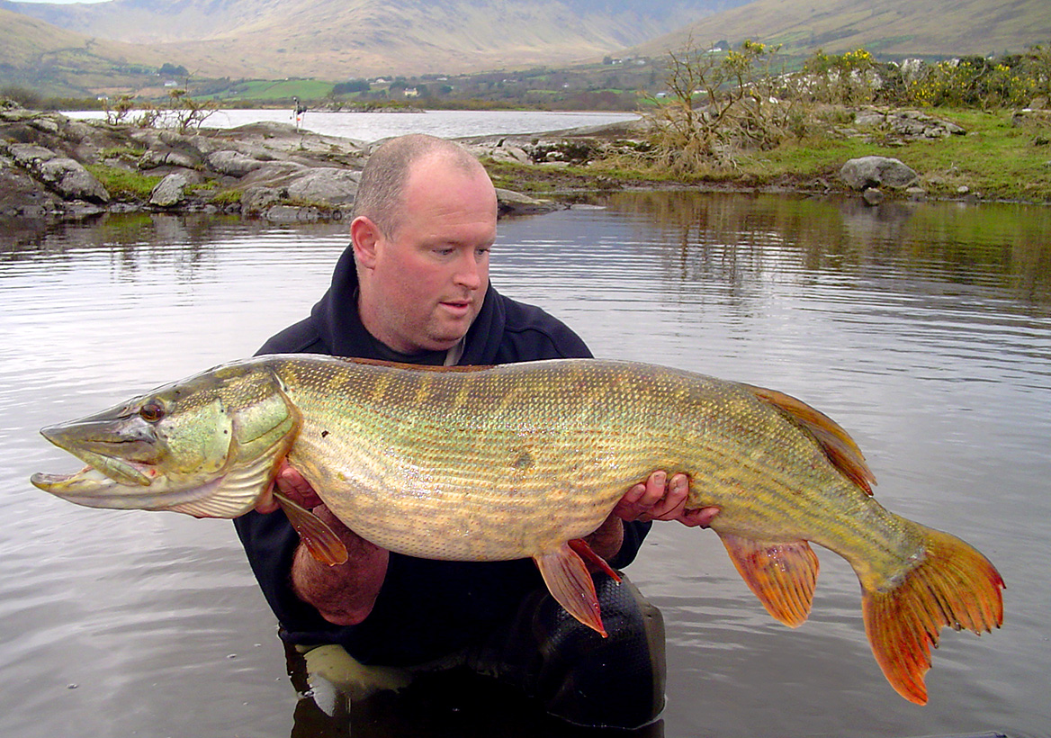 Ein Angler präsentiert einen 16 kg schweren Hecht am Lough Mask.