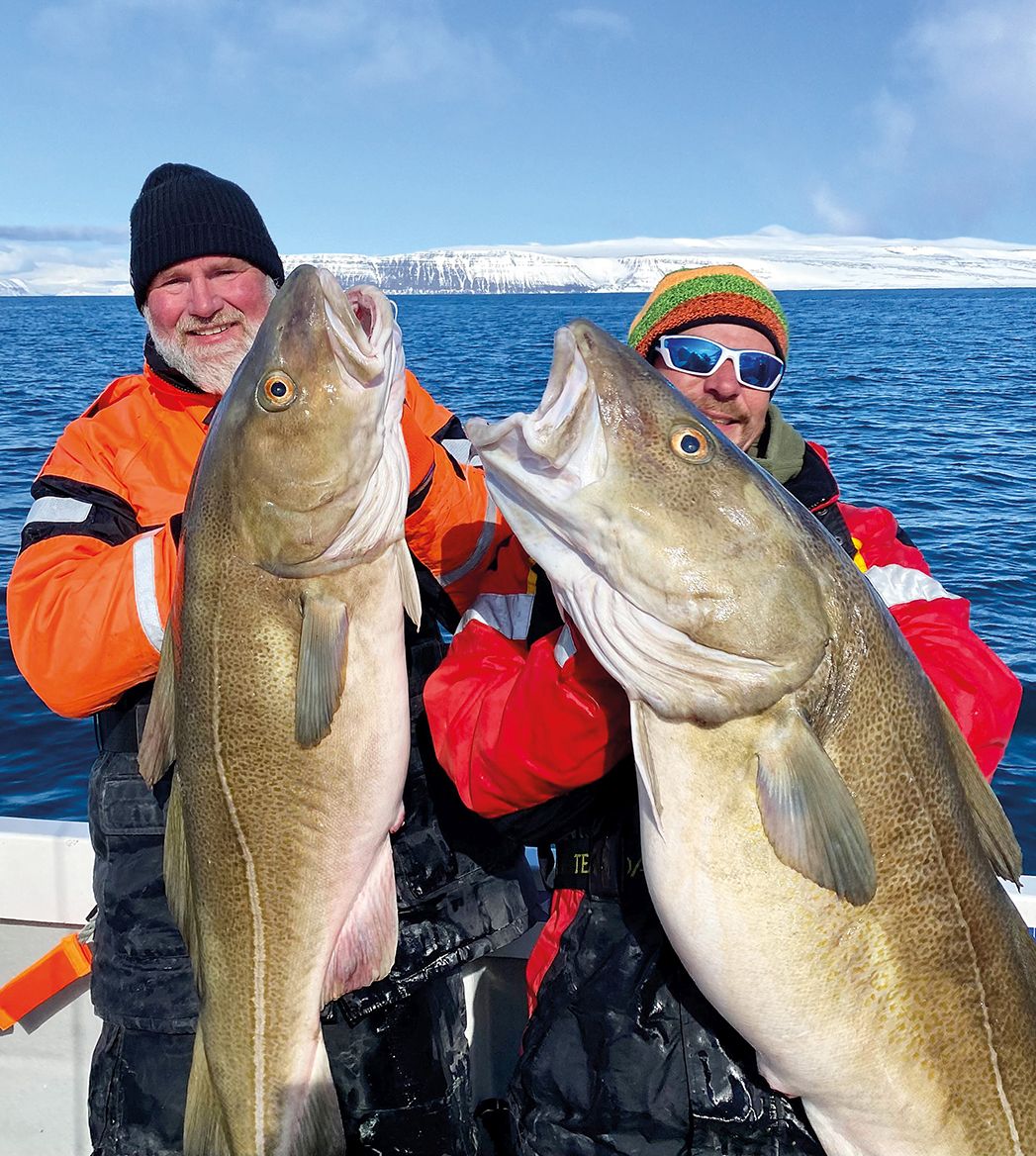 Zwei Angler halten Fische hoch, die sie an der isländischen Küste gefangen haben.
