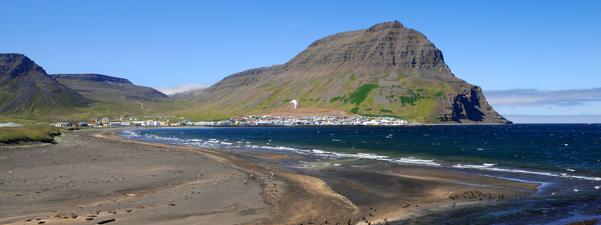 Urlaub auf Island: Angeln und Natur genießen!