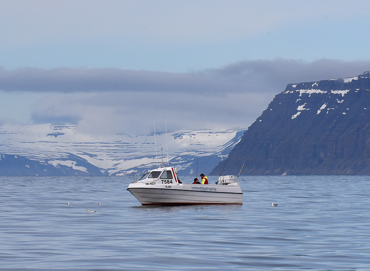 Ein Anglerboot fährt auf der See vor Island.