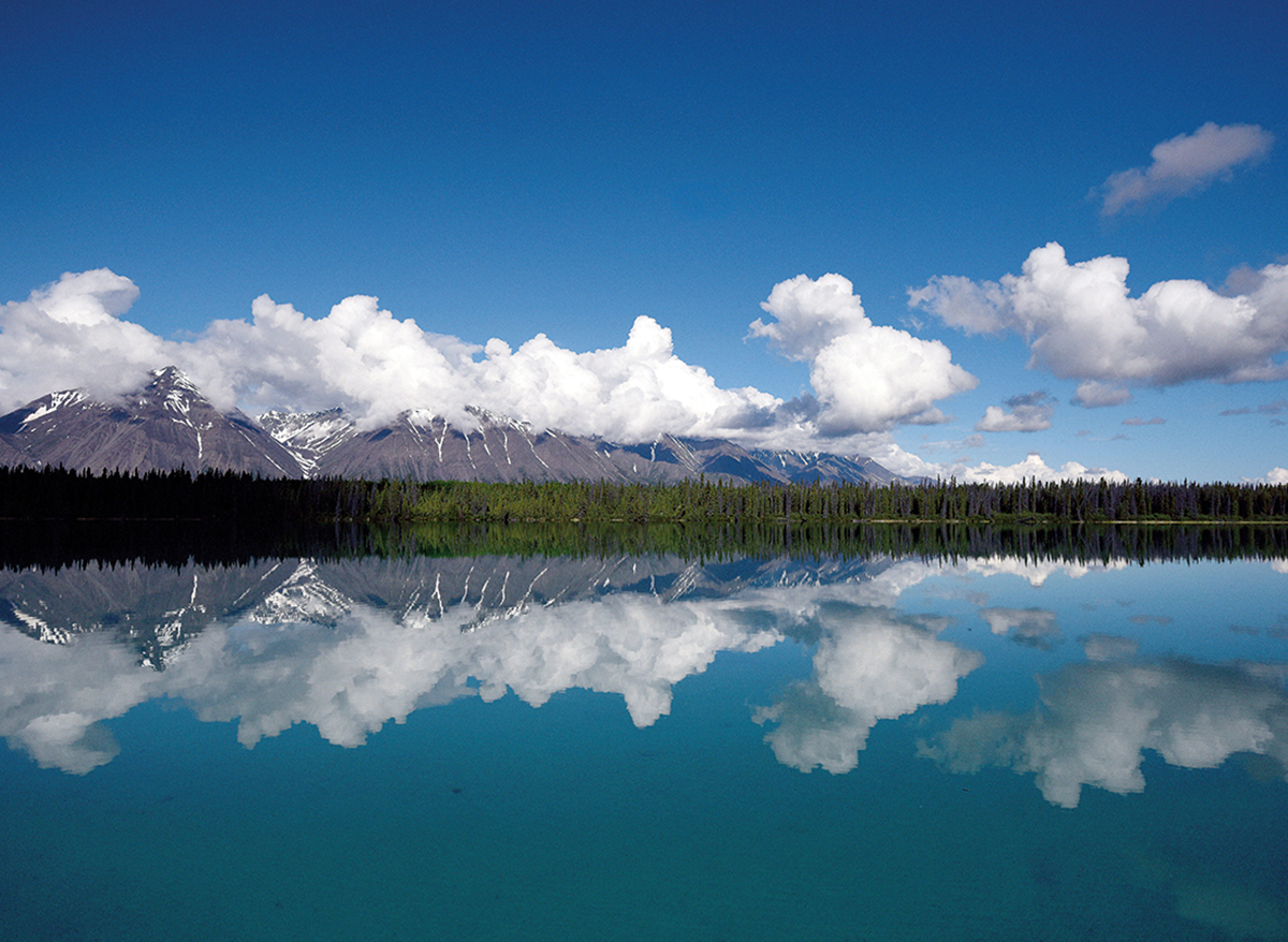 Berge und Wald spiegeln sich im hellblauen Yukon.