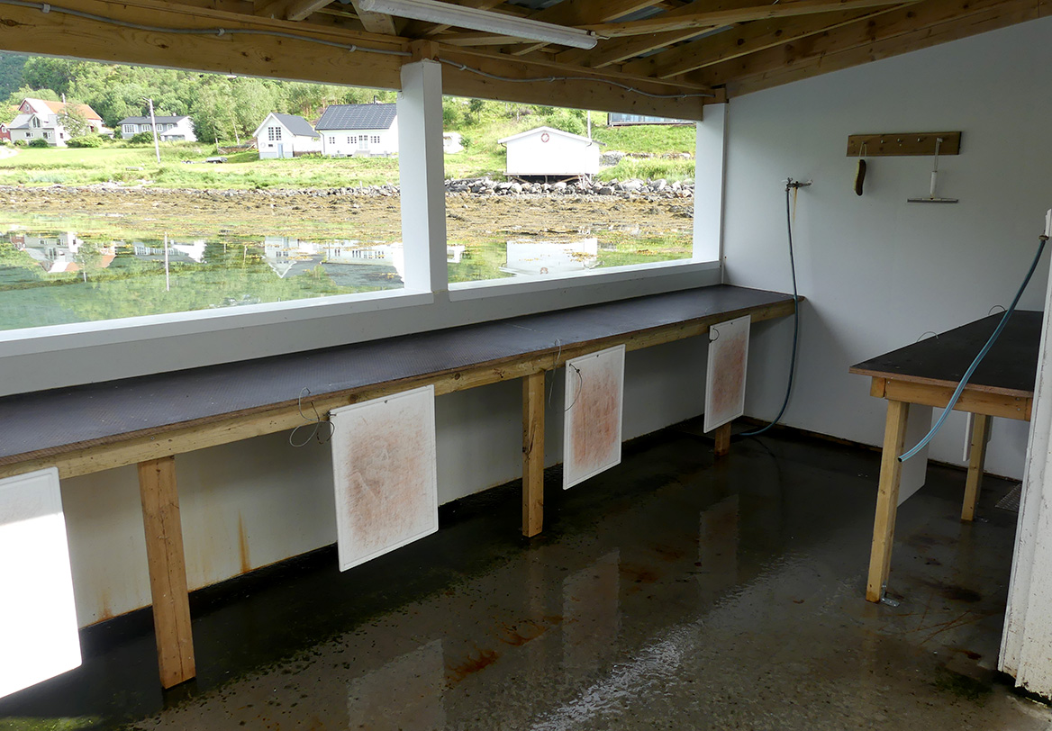 Die Kingfisher-Anlage Vik Brygge bei Flatanger in Mittelnorwegen begeistert jeden Meeresangler.