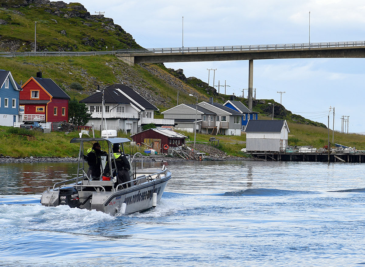 Mehrere Fischerboote fahren an der Küste von Havøysund entlang.