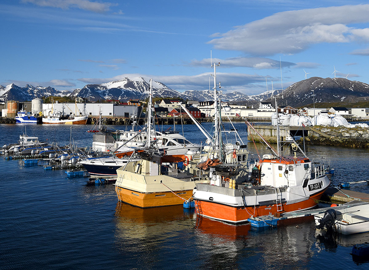 Boots-Idylle am Hafen von Sommarøy.